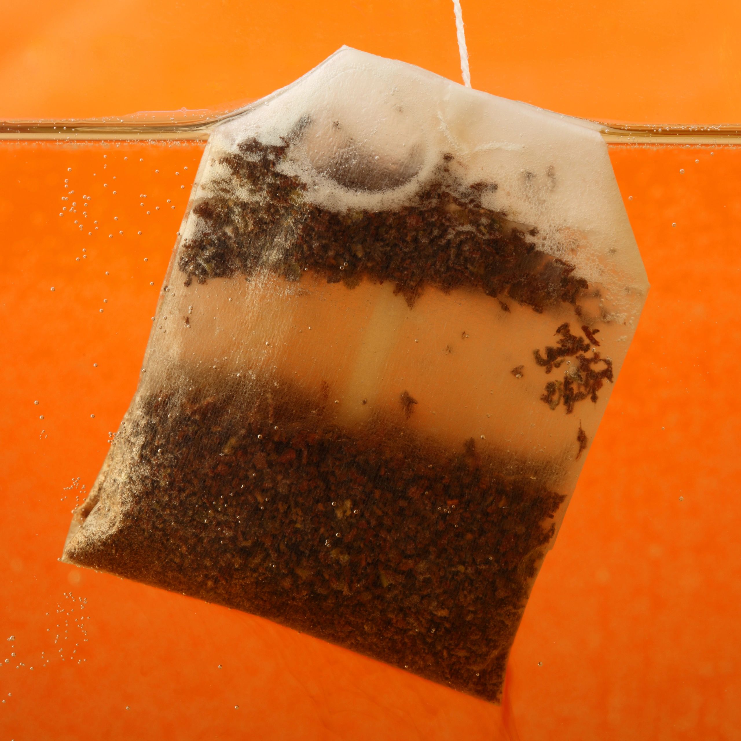 WhatTheTea Green Tea + Cinnamon blend pouch mockup