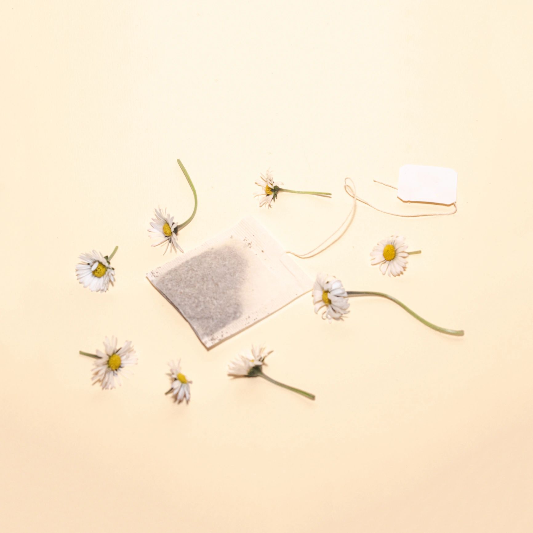 Tea bags and flowers arranged in a creative flat lay